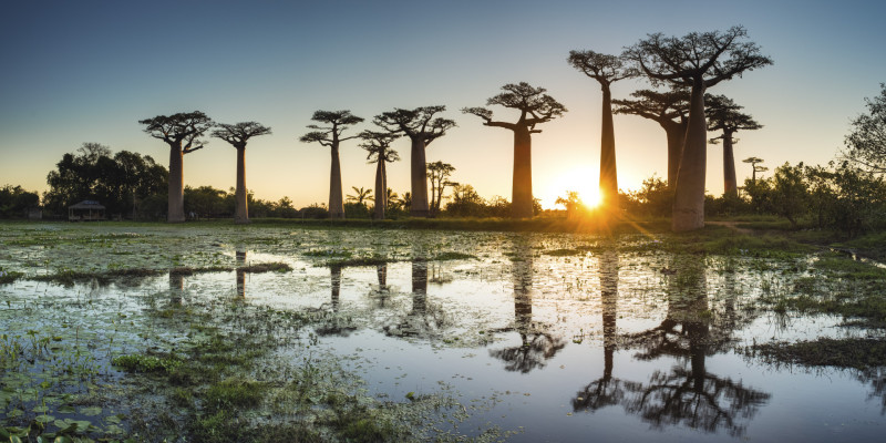 Emirates heads to Madagascar from September - Image courtesy Emirates Airline