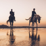 Horseriding in Bahrain