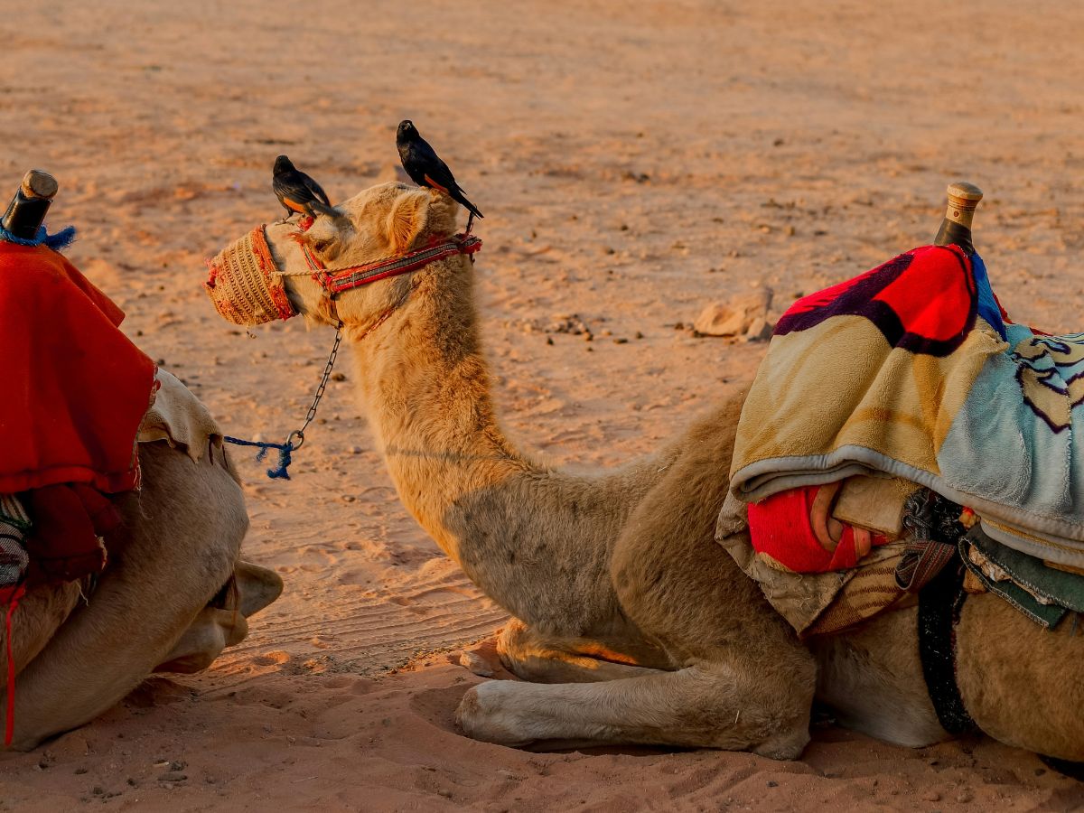 Debunking Common Misconceptions About the Middle East Rihlat Travel News