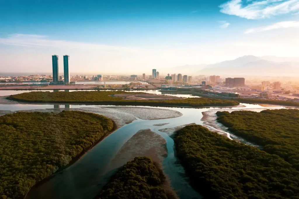 Aerial view Ras Al Khaimah mangroves city skyline sunset